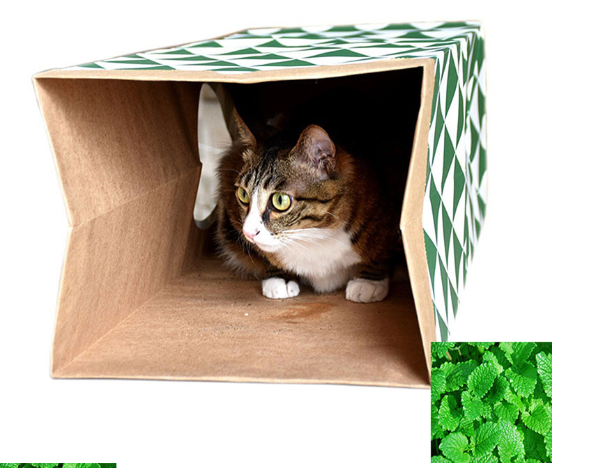 promotional pet products craft paper bag